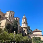 Premium Cister Cathedral *